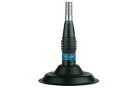 President ML 145 SM (150 cm) 