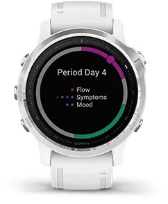 Przewaga Garmin Fenix 6S Srebrny