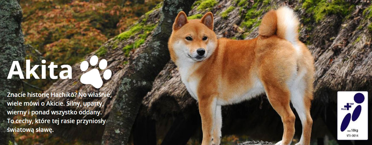 Fotelik samochodowy BabySafe Akita