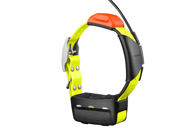 Dodatkowa obroża Garmin T5 z funkcją śledzenia psa [010-01041-D4] PROMO*