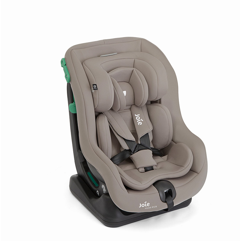 Joie Steadi R129 Canopy 0-18 kg