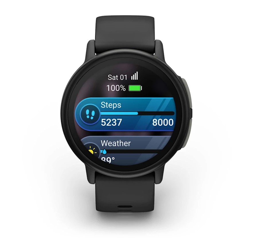Garmin Bounce 2 Slate Grey [010-03399-00]