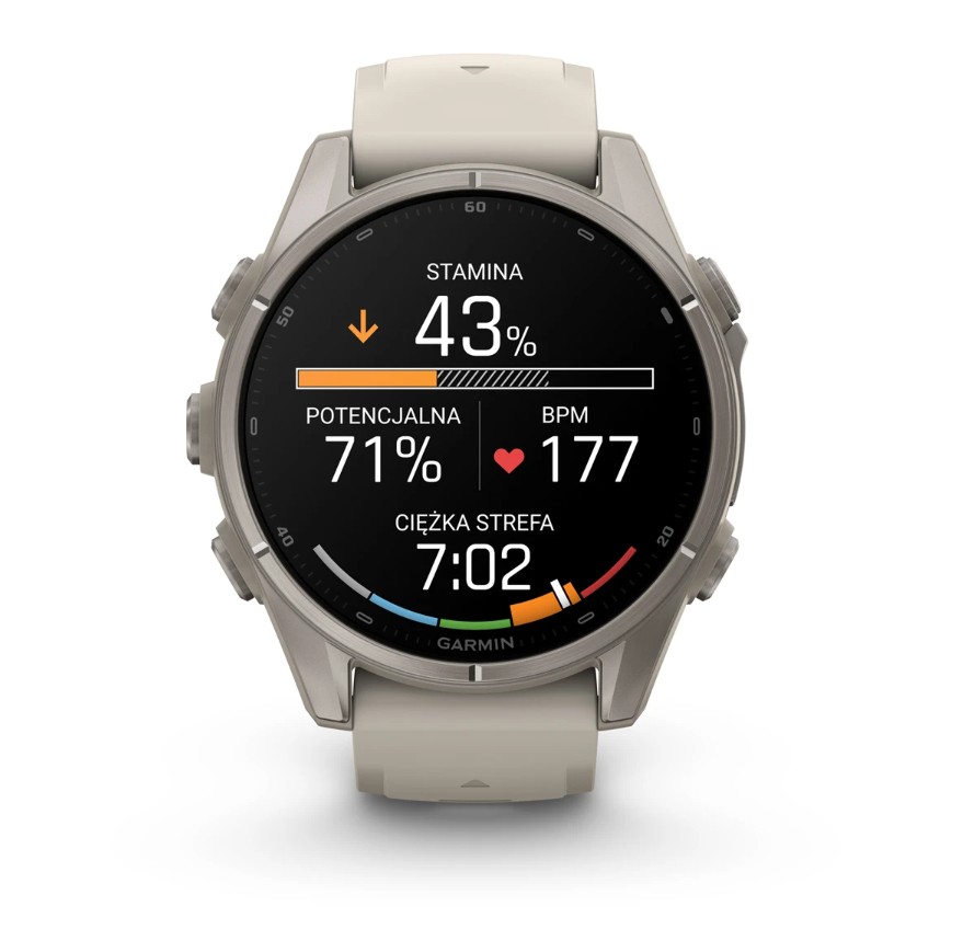 Garmin Fenix 9 43 mm AMOLED Sapphire Bare Titanium Fog Grey [010-04761-01]