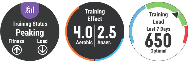 Monitoruj swoją aktywność