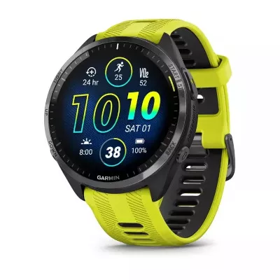 Garmin Foretrex