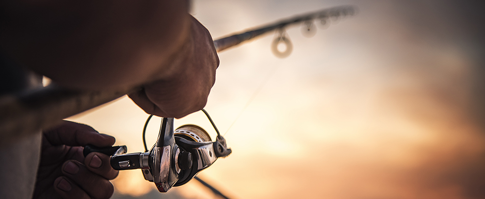 Echosonda bezprzewodowa - jak dobrze wybrać?