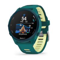 Garmin Forerunner 170