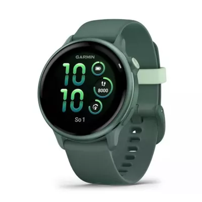 Garmin Vivoactive