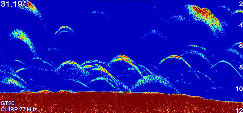 Zaleta Garmin Striker Plus 4 z przetwornikiem 010-01870-01