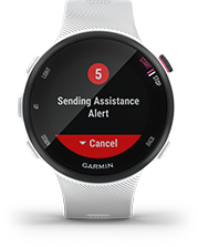 Cechy Garmin Forerunner 45S