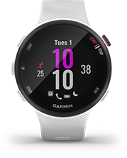 Cechy Garmin Forerunner 45S