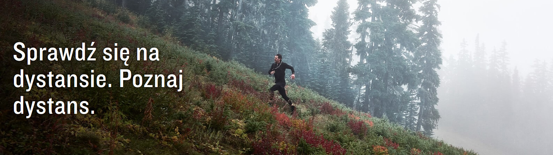 Funkcja Garmin Forerunner 955 Whitestone [010-02638-31]