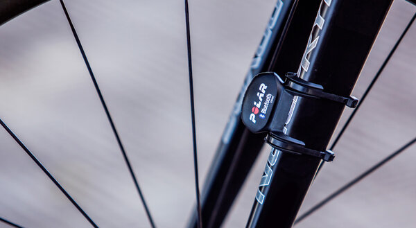 Polar Sensor prędkości Bluetooth Smart