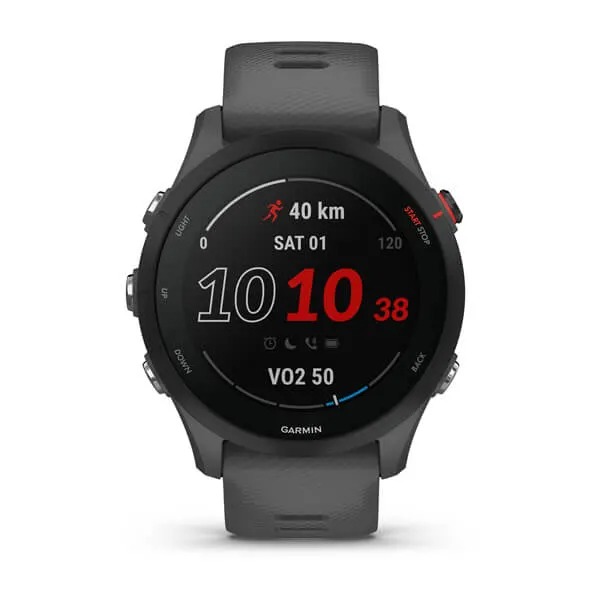 Garmin Forerunner 255 Popielaty [010-02641-10].