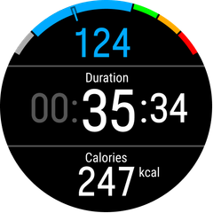 Cechy Polar Vantage M3