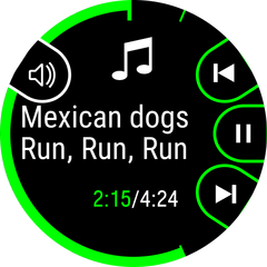 Polar Vantage M3 funkcjonalność