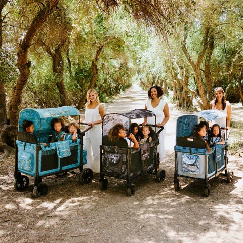 Funkcja Wonderfold W4 Luxe Pro Van Gogh