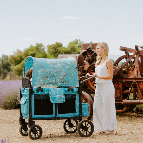 Wonderfold W4 Luxe Pro Van Gogh cecha