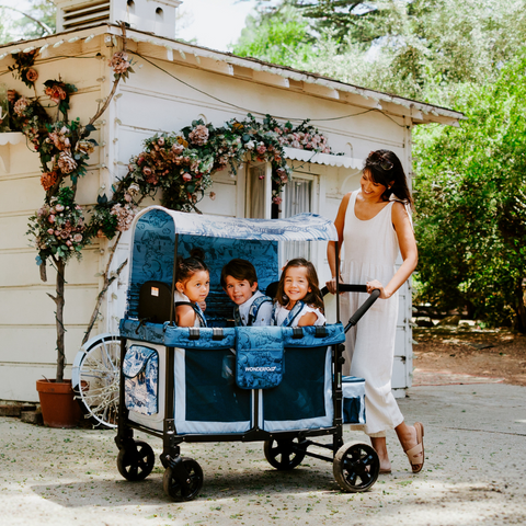 Przewaga Wonderfold W4 Luxe Pro Van Gogh