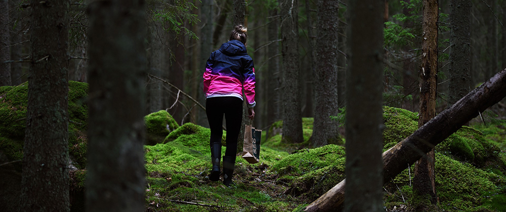 GPS na grzyby - jak wybrać dobry GPS do lasu?