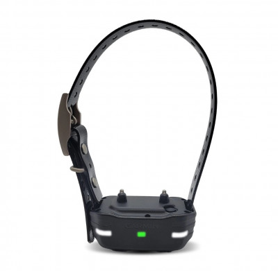 Garmin obroża dla psa PT10 do Pro 70/550 