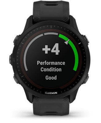 Cechy Garmin Forerunner 955 Whitestone [010-02638-21]