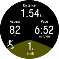 Atrybuty Polar Vantage M3